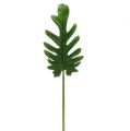 Floristik24 Deco sheets Philodendron Green B11cm L34cm 6pcs