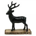Floristik24 Deco Deer Deco Reindeer Metal Wood Black H25cm