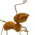 Floristik24 Decorative figure ant metal butterfly net garden decoration rust 19cm
