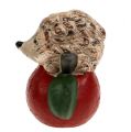 Floristik24 decorative figure hedgehog on apple 7,5cm ceramic