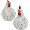 Floristik24 Figure decoration chicken and rooster 5,5cm - 6,5cm 6pcs