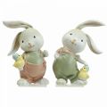 Floristik24 Deco figures deco rabbit rabbit children with chicks H11cm 2pcs