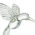 Floristik24 Decoration hummingbird, glass decoration, bird of paradise, glass pendant, decoration bird