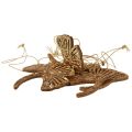 Floristik24 Deco hanger wood gingko deco gingko leaf gold 5x6.5cm 12 pieces