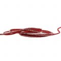 Floristik24 Deco cord leather strap red with rivets 3mm 15m