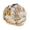 Floristik24 Deco shell white, red Real shells in raffia net table decoration 400g