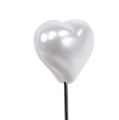 Floristik24 Decorative Heart Needle White 1,5cm 36pcs