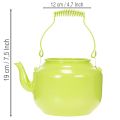 Decorative teapot as a flower vase, nostalgic retro style | Floristik24.co.uk