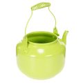 Decorative teapot as a flower