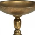 Floristik24 Decorative bowl on foot Decorative plate gold antique look Ø28cm H26cm