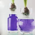 Floristik24 Decorative water purple 150ml