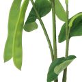 Floristik24 Decorative branch bean branch artificial plant green 95cm