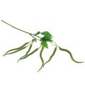 Floristik24 Decorative branch chili branch artificial plant pepperoni green red 78cm