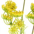 Floristik24 Yellow Dill Artificial Herb Plant Dill for Decorate L80cm