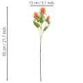 Artificial Safflower Stems Orange for Vase Decoration and Home Styling 55cm Set of 4 | Floristik24.co.uk