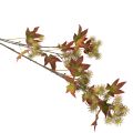 Artificial Amber Tree Branch with Autumn Leaves and Seed Pods – 132cm | Floristik24.co.uk