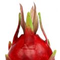 Floristik24 Dragon Fruit 15cm Red 1pc