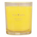 Floristik24 Scented candle in a glass summer scent Frangipani Yellow H8cm