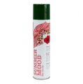 Floristik24 Fragrance Spray Rose 400ml