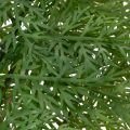 Artificial Green Fern Spray