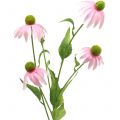 Floristik24 Echinacea flower artificial light pink 90cm