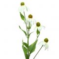 Floristik24 Echinacea flower artificial white 90cm