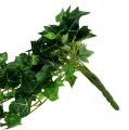 Floristik24 Ivy tendril green 70cm