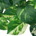 Floristik24 Ivy plant Pothos ivy artificial gold tendril 50cm