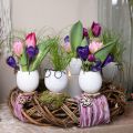 Floristik24 Egg with glasses decorative vase white Easter decoration Ø7.5cm H9cm 6 pieces