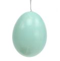 Floristik24 Egg for hanging 6cm blue-brown sort. 12st