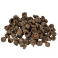 Floristik24 Natural Acorn Caps for Autumn and Advent Decorations 2cm 300g