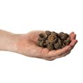 Natural Acorn Caps for Autumn and Advent Decorations 2cm 300g | Floristik24.co.uk