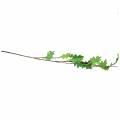 Floristik24 Oak leaf branch green 115cm