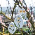Floristik24 Eggs to hang, wooden Easter eggs, flower motif, dandelion snowdrop Winterling H14cm 3pcs