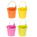 Floristik24 Colorful buckets, Ø8cm H7.5cm, 12 pieces