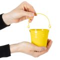 Colorful buckets, Ø8cm H7.5cm, 12 pieces | Floristik24.co.uk