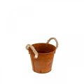 Floristik24 Plant pot, autumn decoration, metal vessel with patina Ø14cm H12cm