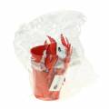 Floristik24 Decorative bucket lobster metal red Ø8cm H13cm 3pcs