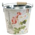 Floristik24 Plant bucket rose Ø17cm