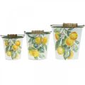 Floristik24 Decorative bucket lemons Mediterranean planter Ø13.5/11/9cm H14/11.5/cm set of 3