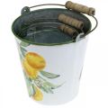 Floristik24 Decorative bucket lemons Mediterranean planter Ø13.5/11/9cm H14/11.5/cm set of 3