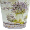 Floristik24 Bucket of lavender 17/14 / 12cm, set of 3