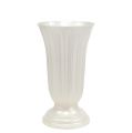 Floristik24 Vase Lilia mother of pearl Ø20cm, 1pc