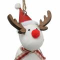 Floristik24 Christmas figures angel and reindeer to hang white, red Ø4.7cm H20 / 18cm 2pcs