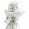 Floristik24 Decorative angel with instruments white H4.5cm 9pcs