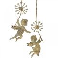 Floristik24 Angel with dandelion, Christmas decoration, decorative pendant, metal decoration golden antique look H16/15cm 4pcs