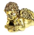 Floristik24 Angel with book lying gold 11-13cm 4pcs