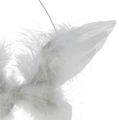 Floristik24 Angel wing for hanging white 16cm 4pcs