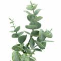 Floristik24 Eucalyptus artificial green 32cm Artificial plant like real!