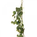 Floristik24 Artificial eucalyptus garland with thistles autumn decoration 150cm